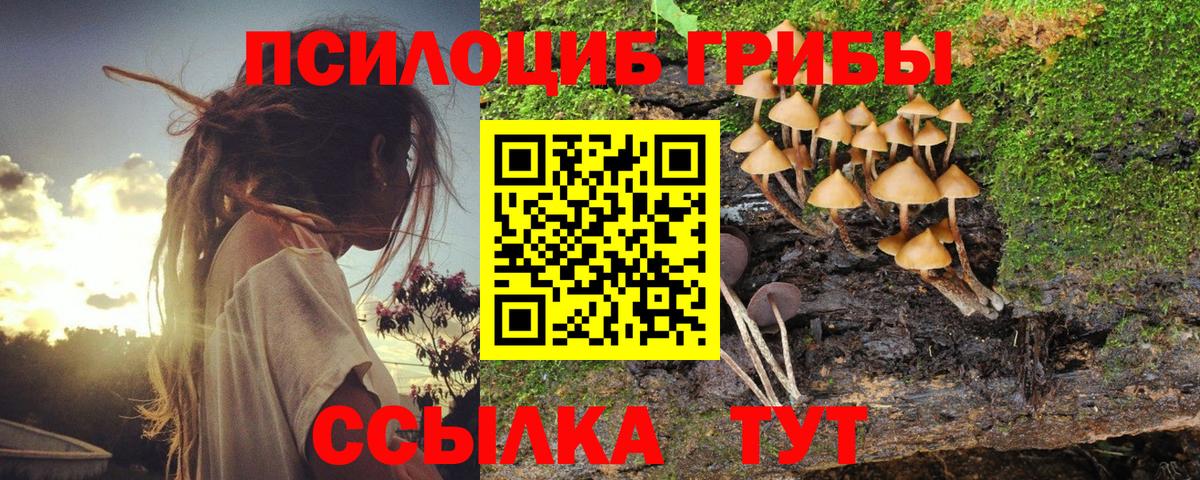 Галлюциногенные грибы Cubensis  Галлюциногенные грибы мухоморы  Вход с VPN  Ступино 